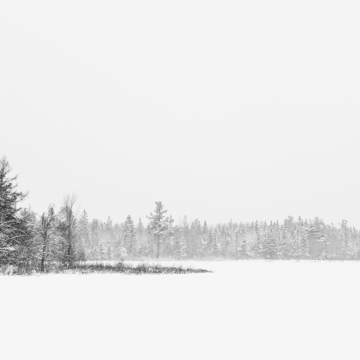 Zach Fischer - Due North